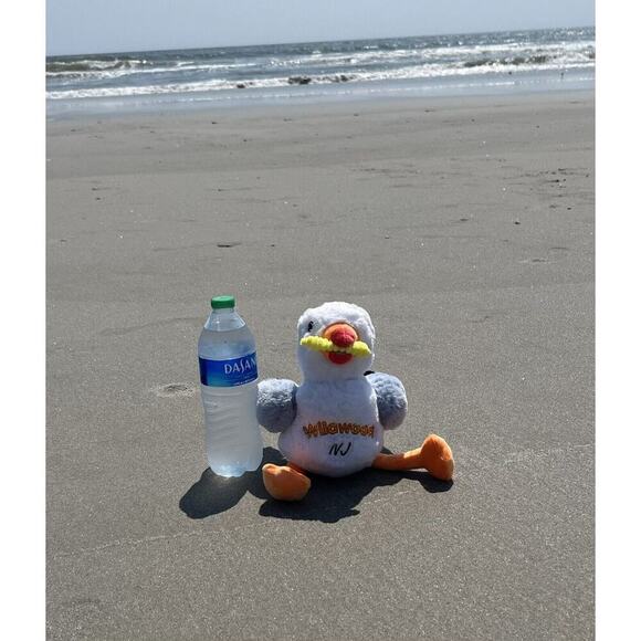 Wildwood Seagull Plush Toy Wildwood NJ NEW Sunny’s Brother Beach gift Christmas - Picture 4 of 11